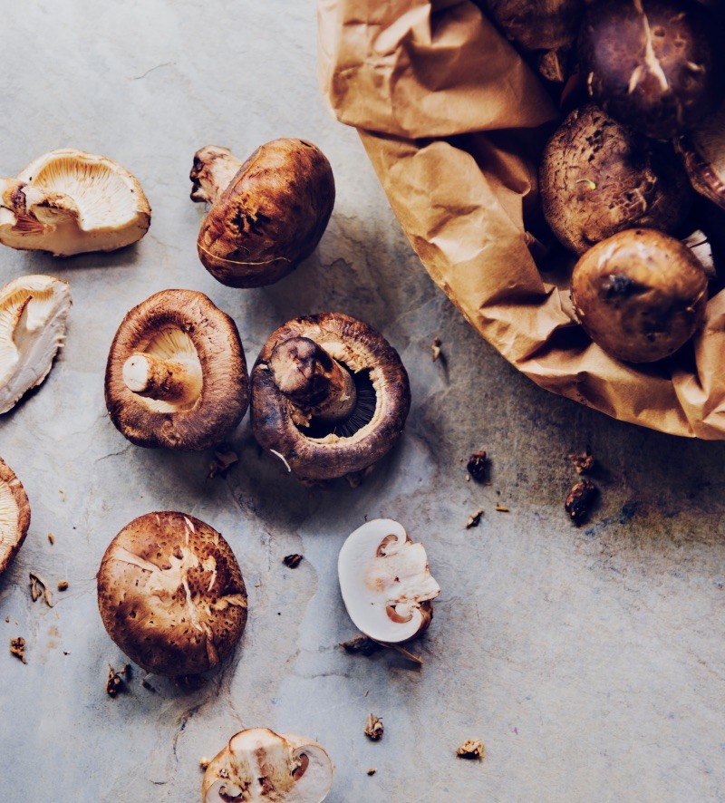 Champignons – kleine Kraftpakete für Gesundheit und Wohlbefinden