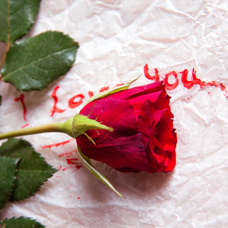 Seitensprung – Wenn die Liebe fremdgeht: Ursachen, Folgen und neue Chancen