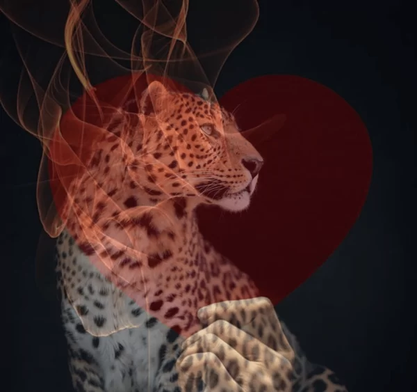 Sorry, ich liebe Dich!