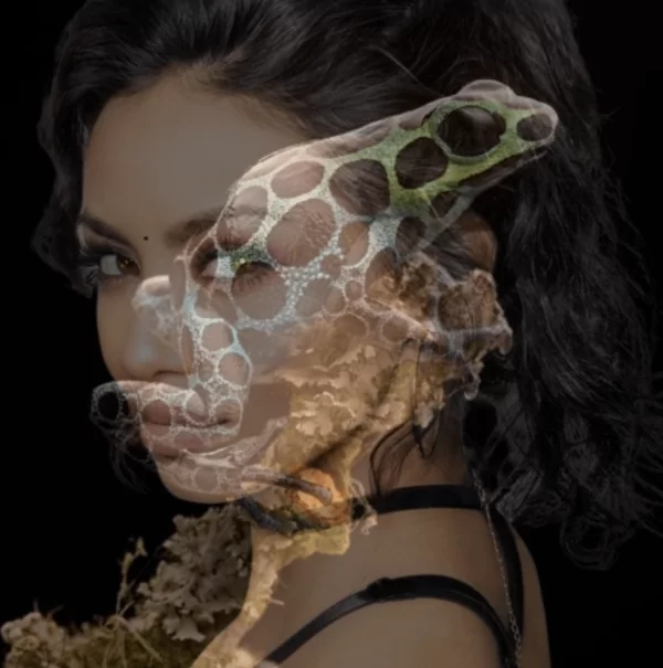 Zauber der Beschwörung